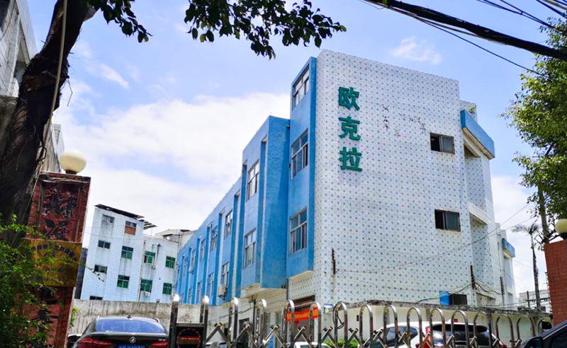 2021年東莞市歐克拉電子科技有限公司全面升級管理項目圓滿成功！