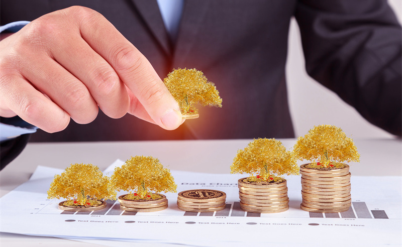 業(yè)績(jī)管理與績(jī)效評(píng)估、薪酬管理和職業(yè)發(fā)展之間的關(guān)系