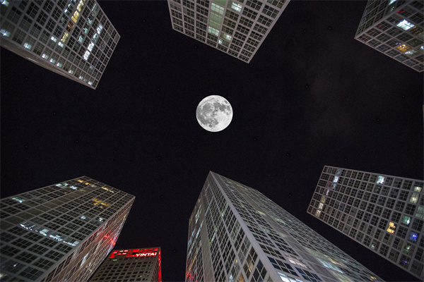 「營銷管理咨詢」解鎖社交媒體的力量，讓品牌騰飛！