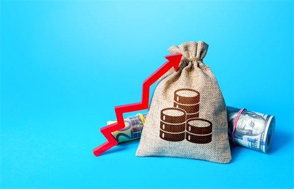 「預(yù)算管理咨詢」如何在不同階段制定不同的預(yù)算計劃？