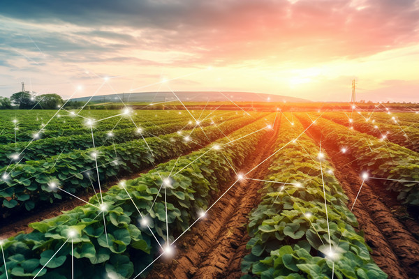 「咨詢公司」供應(yīng)鏈管理的目的和意義是什么？