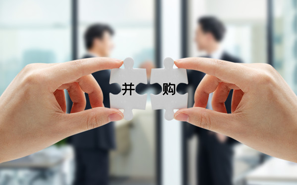 戰(zhàn)略投資與并購(gòu)：拓展企業(yè)規(guī)模，增強(qiáng)市場(chǎng)競(jìng)爭(zhēng)力