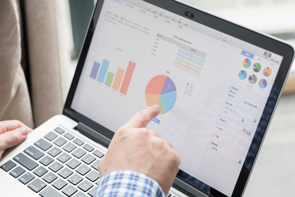 預(yù)算控制咨詢：協(xié)助企業(yè)建立控制體系，確保預(yù)算執(zhí)行