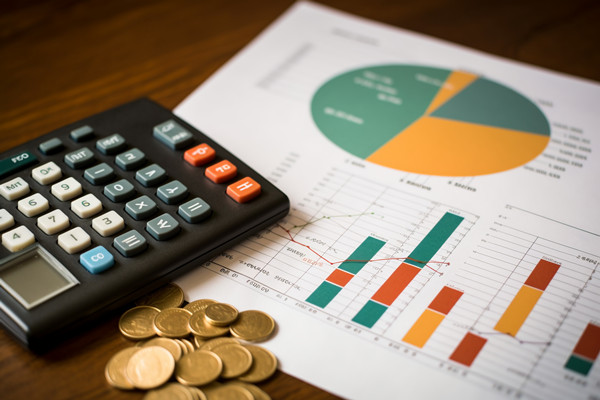 強化集團管控：財務(wù)，人力資源，信息技術(shù)的整合