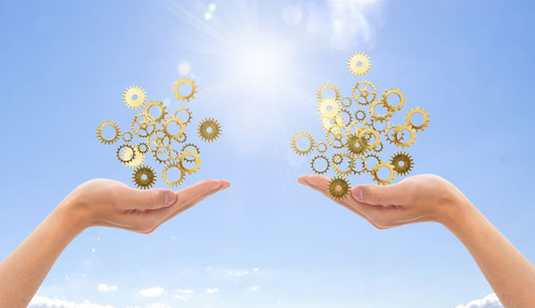 多品牌戰(zhàn)略：協(xié)同作戰(zhàn)，共創(chuàng)輝煌