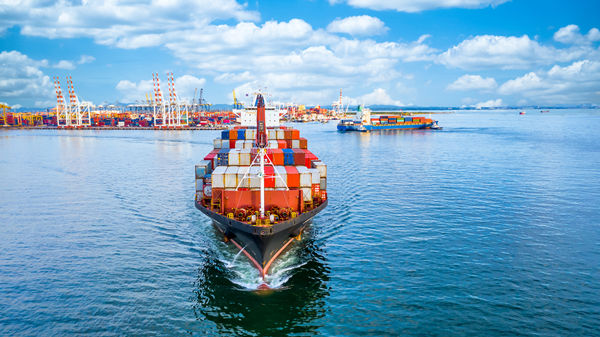 供應鏈咨詢：如何提高供應鏈的透明度和可追溯性？