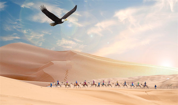 集團(tuán)管控升級迭代，激發(fā)企業(yè)活力，實(shí)現(xiàn)持續(xù)領(lǐng)先