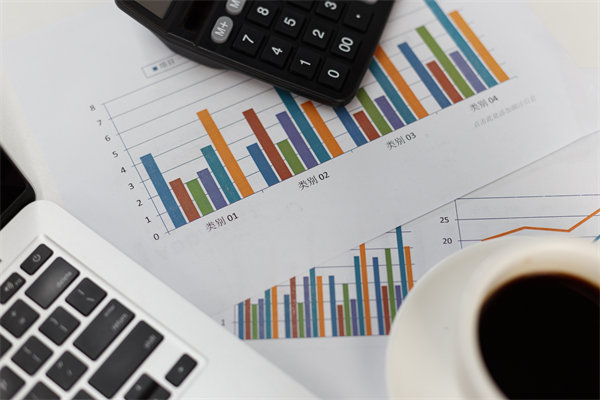 預(yù)算管理信息化建設(shè)：提升管理效率，降低管理成本