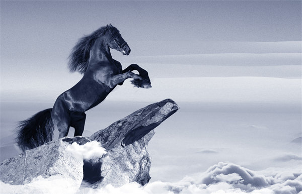 企業(yè)文化在企業(yè)管理中扮演何種角色，如何塑造？