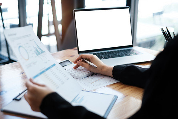 預(yù)算監(jiān)控與調(diào)整機(jī)制如何建立，確保預(yù)算執(zhí)行到位？