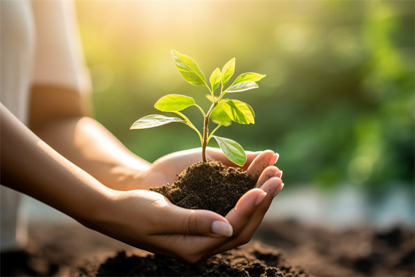 可持續(xù)發(fā)展成為趨勢，企業(yè)如何融入綠色戰(zhàn)略以促增長？