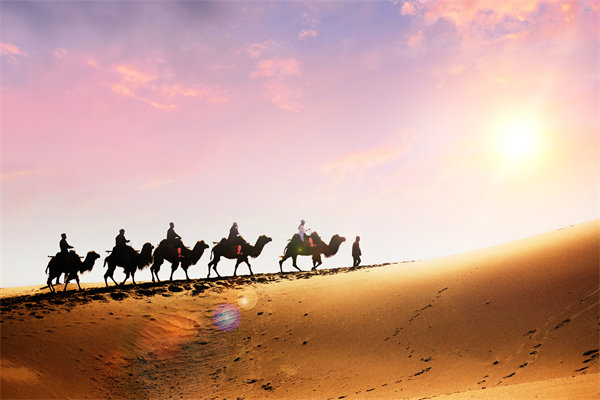 企業(yè)文化在人力資源管理中，扮演著怎樣的角色？