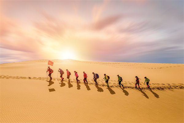 組織需要擴大規(guī)模時，如何確保資源有效整合與配置？