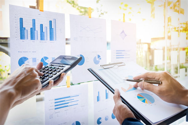 在預(yù)算執(zhí)行中，如何確保監(jiān)控與調(diào)整機(jī)制的有效性？