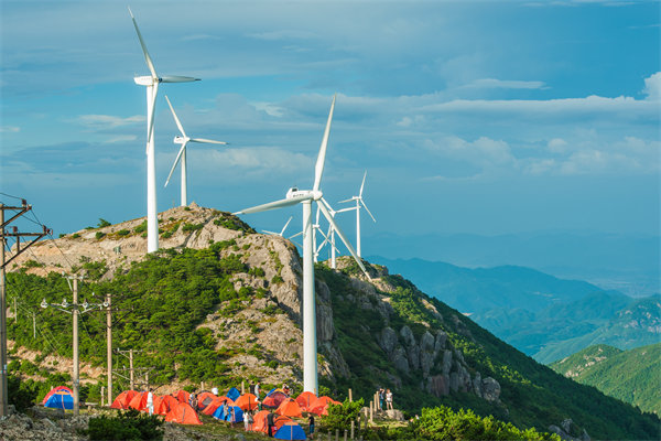 臺州組織規(guī)劃咨詢公司如何設計高效企業(yè)組織架構？