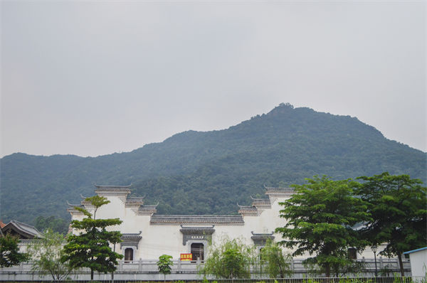 佛山組織規(guī)劃咨詢(xún)公司如何優(yōu)化企業(yè)人才梯隊(duì)建設(shè)？