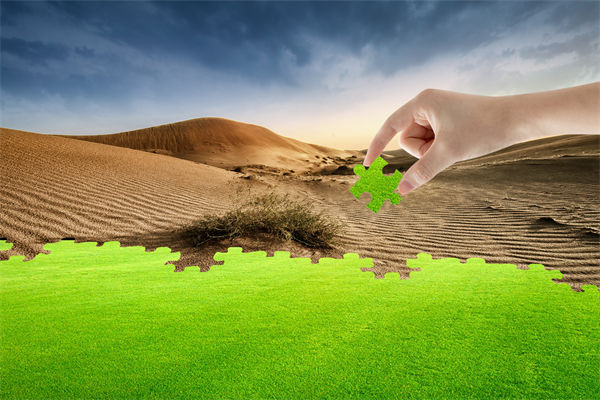 企業(yè)深陷困境，管理咨詢(xún)?nèi)绾我岳做侄未蚱瓢l(fā)展僵局？