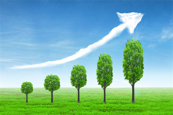 植樹就是植未來，對企業(yè)的戰(zhàn)略規(guī)劃有哪些啟示？