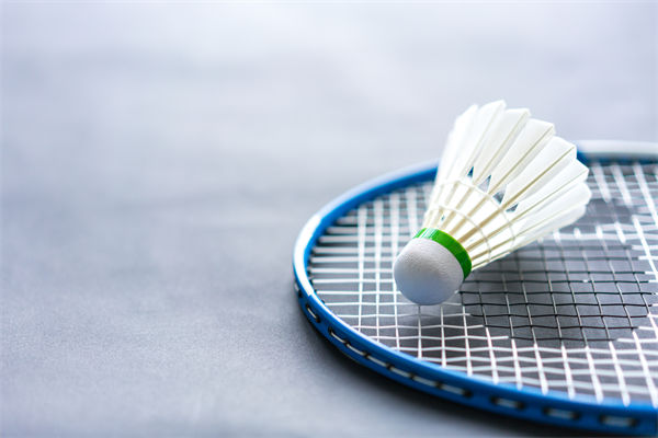 從營(yíng)銷(xiāo)方面分析羽毛球價(jià)格2年上漲100%比黃金還猛