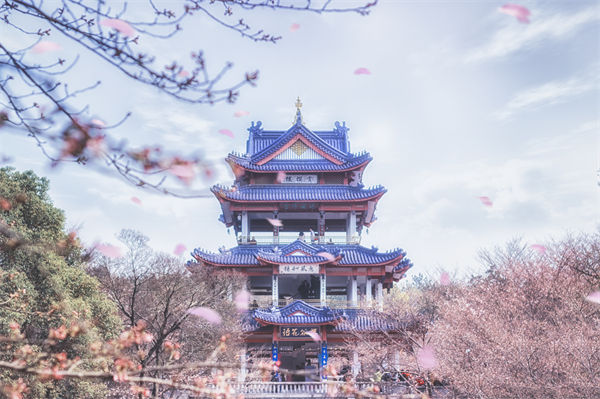 供應(yīng)鏈成本居高不下，無錫供應(yīng)鏈咨詢公司如何精準(zhǔn)砍出利潤空間？