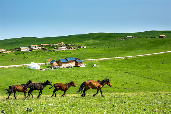 飛新疆的機票價格漲爆了，什么情況？是營銷炒作？
