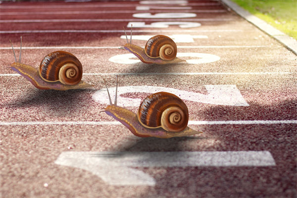 新業(yè)務(wù)拓展艱難，年度經(jīng)營(yíng)計(jì)劃為其定制專屬發(fā)展路徑