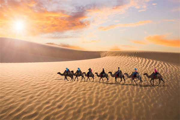 企業(yè)文化管理失效？這三大認(rèn)知誤區(qū)為何拖垮團(tuán)隊(duì)？