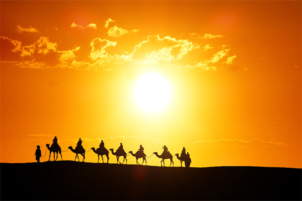 高層標(biāo)榜的企業(yè)文化，如何穿透形式真正落地生根？