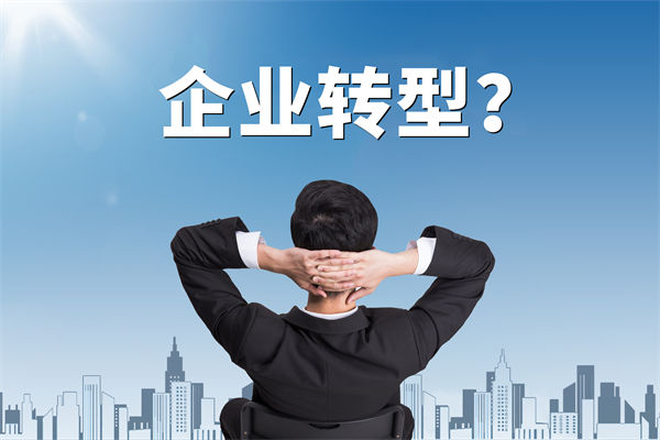 企業(yè)轉(zhuǎn)型無方向，數(shù)智化咨詢公司能否指引明路？