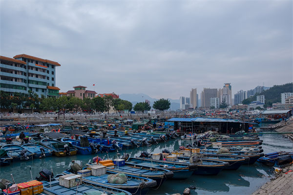 精益生產(chǎn)分析：開海第一網(wǎng)撈8000斤，船長合不攏嘴