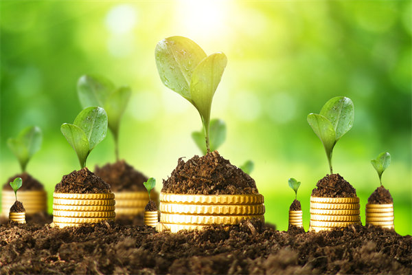 預(yù)算管理咨詢公司如何幫助企業(yè)破解資金錯(cuò)配問題？