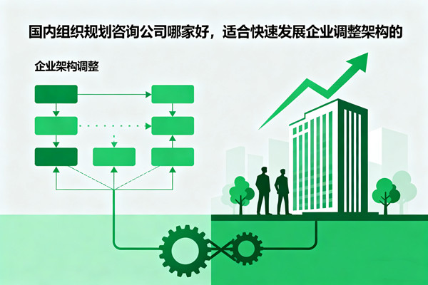 國內(nèi)組織規(guī)劃咨詢公司哪家好，適合快速發(fā)展企業(yè)調(diào)整架構(gòu)的