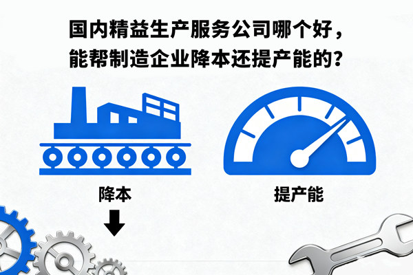 國(guó)內(nèi)精益生產(chǎn)服務(wù)公司哪個(gè)好，能幫制造企業(yè)降本還提產(chǎn)能的？