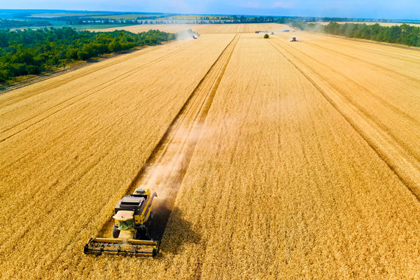 農業(yè)行業(yè)供應鏈管理咨詢公司推薦，能解農資采購成本高問題嗎？